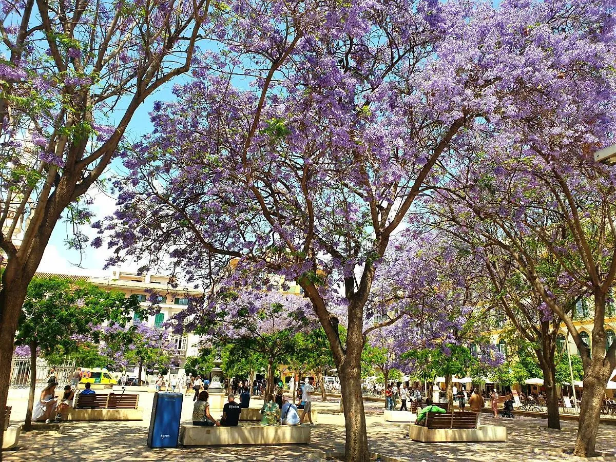 Apartment Economical Homes In Center Malaga Spain