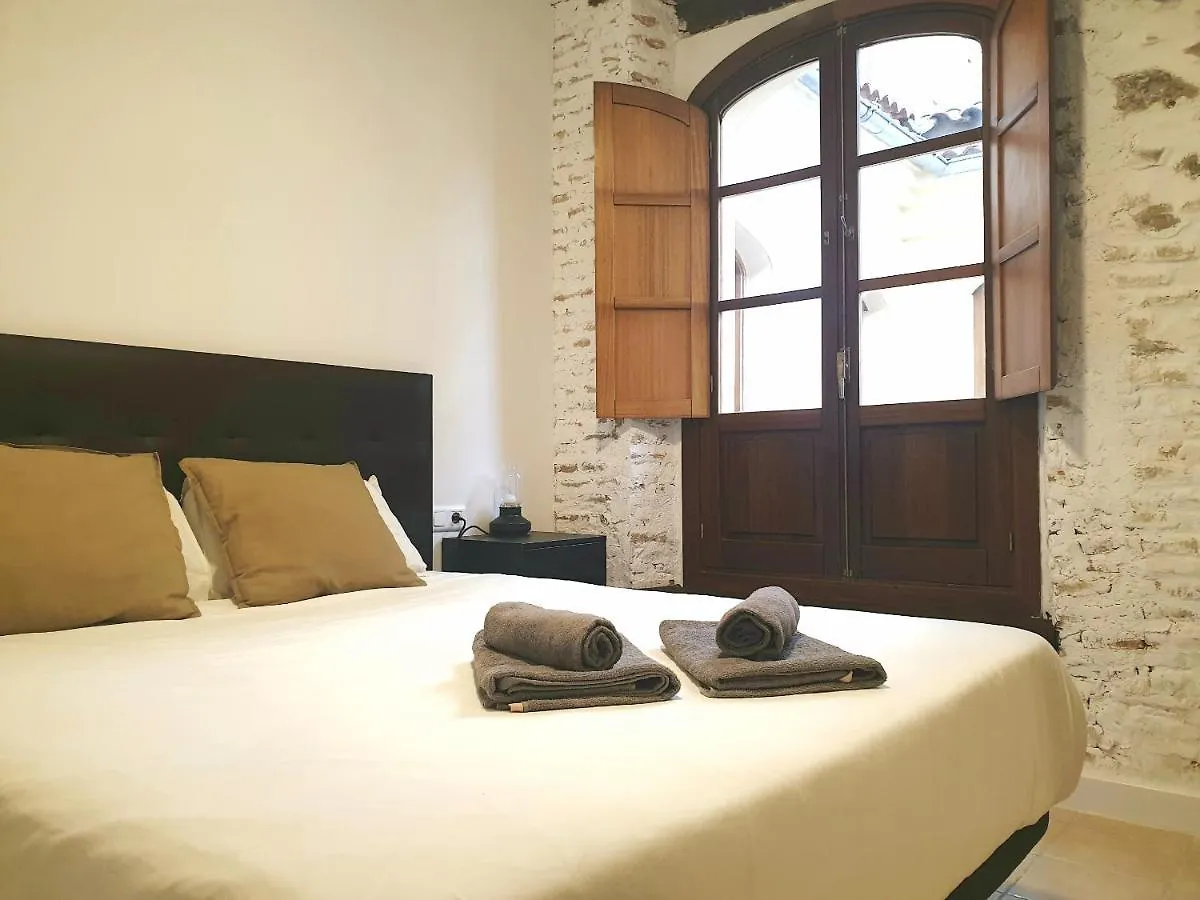 Economical Homes In Center Malaga Spain