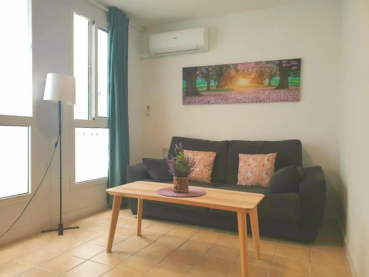 Economical Homes In Center Malaga