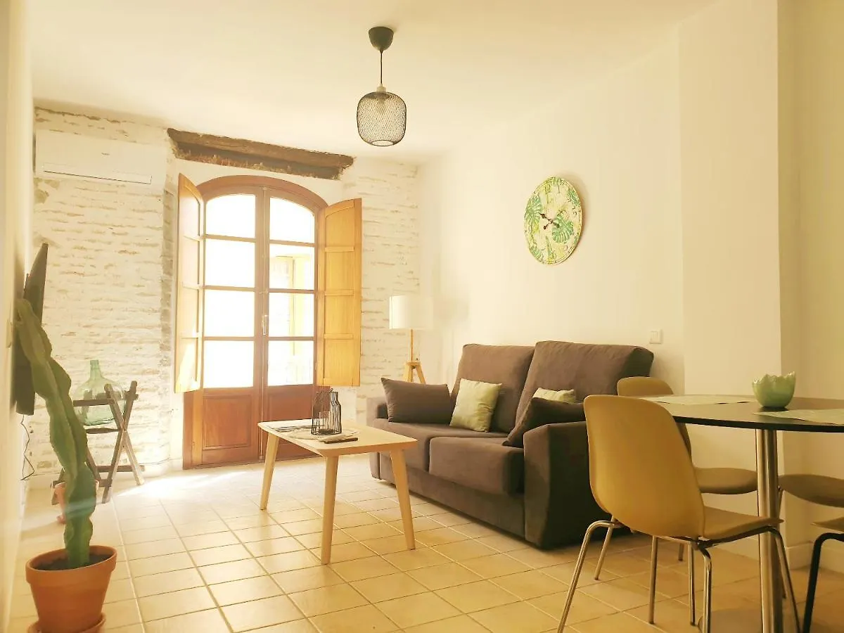 Economical Homes In Center Malaga Spain