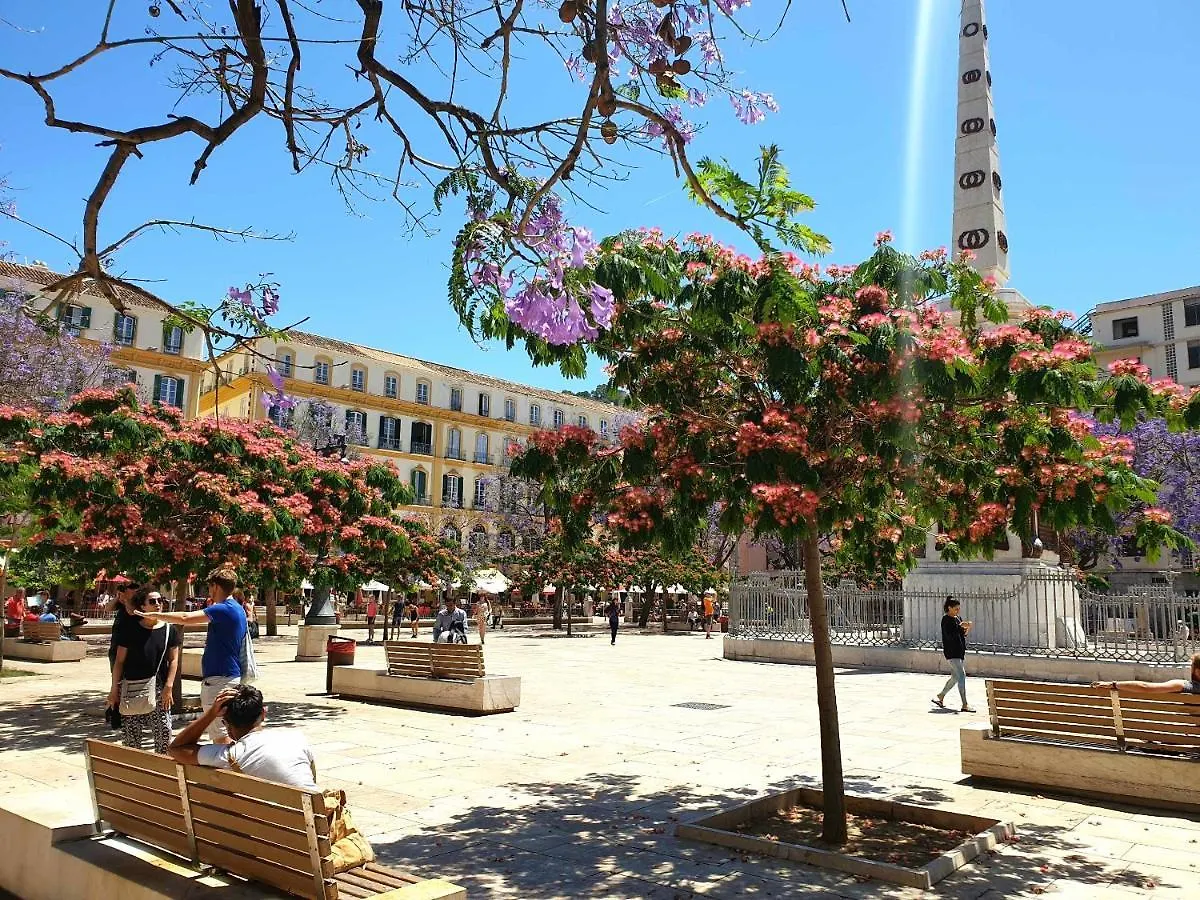 Economical Homes In Center Malaga